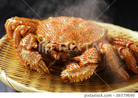 北海道廣尾產鱟(L尺寸) 北海道廣尾產鱟(L尺寸) 86579690