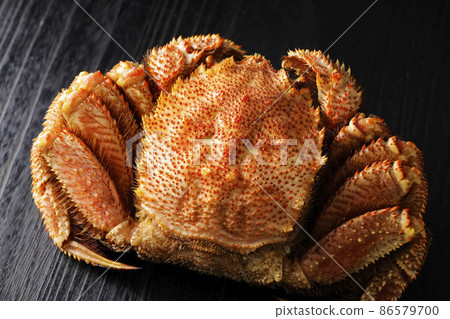 北海道廣尾產鱟（L尺寸） 86579700