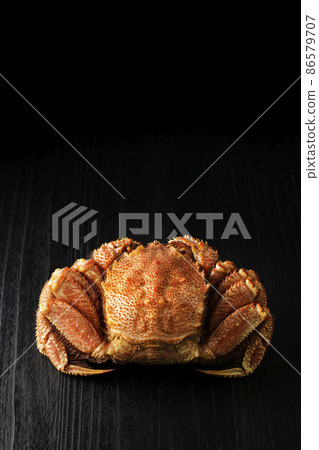 Horsehair crab from Hiroo, Hokkaido (L size) 86579707