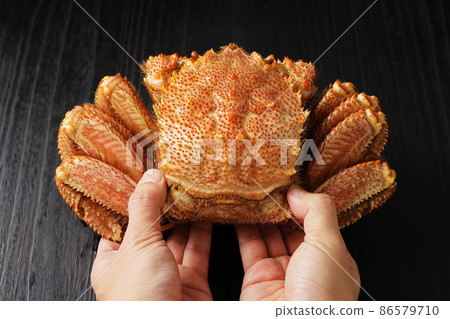 北海道廣尾產鱟(L尺寸) 北海道廣尾產鱟(L尺寸) 86579710