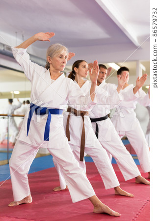 Elderly woman practicing punches during group martial arts workout Elderly woman practicing punches during group martial arts workout 86579732