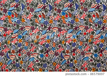 沖繩紅色型琉球紅色型 86579897