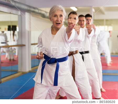 Group lesson in karate or taekwondo in gym. Practicing blows Group lesson in karate or taekwondo in gym. Practicing blows 86580020