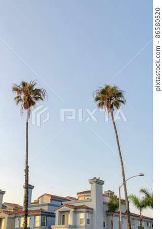 Two tall palm trees outside a building at Oceanside, California 86580820