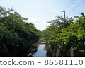 Fresh green of Shakujii River 86581110