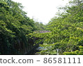 Fresh green of Shakujii River 86581111