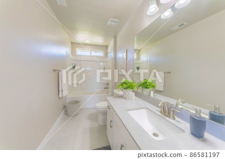 White bathroom interior with indoor plants decorations White bathroom interior with indoor plants decorations 86581197