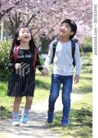 抬頭看櫻花的兩個小學男生和女生 抬頭看櫻花的兩個小學男生和女生 86581648