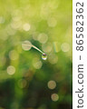 Beautiful drops 86582362