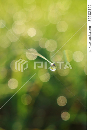 Beautiful drops Beautiful drops 86582362