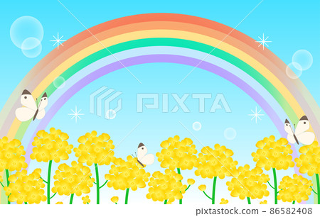 Spring background of rape blossoms and cabbage white butterfly Spring background of rape blossoms and cabbage white butterfly 86582408