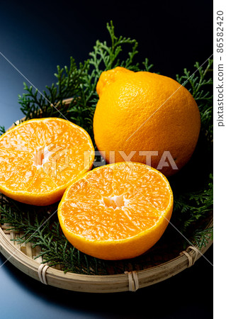 Dekopon black background Dekopon black background 86582420