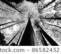 Landscape of healing 86582432