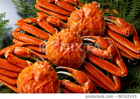 Crab luxury black background Crab luxury black background 86582433