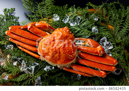 Crab luxury black background 86582435