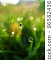 Beautiful drops 86582436