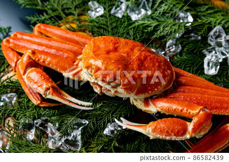 Crab luxury black background Crab luxury black background 86582439