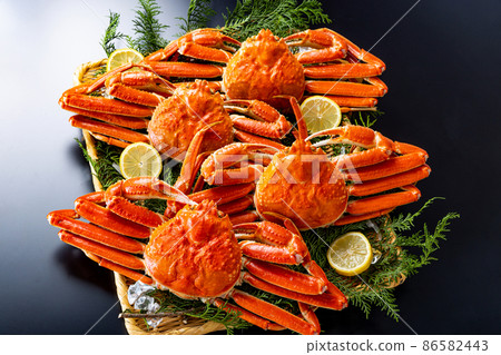 Crab luxury black background Crab luxury black background 86582443