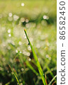 Beautiful drops 86582450