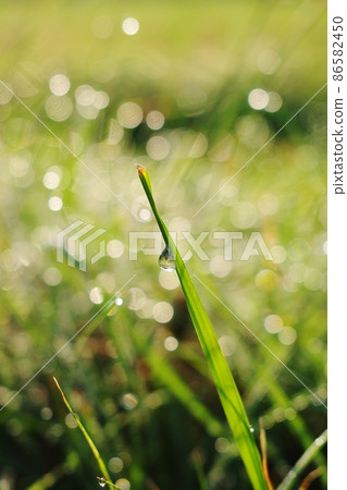 Beautiful drops Beautiful drops 86582450