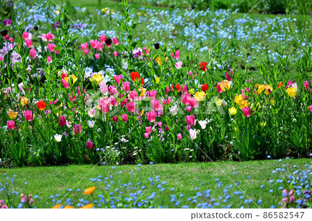 Spring Satoyama Garden Festa 86582547