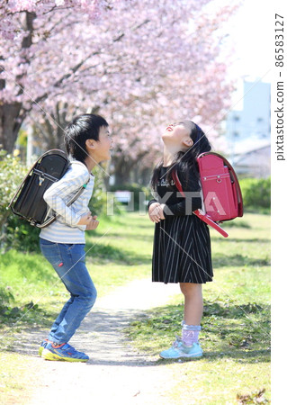 Two elementary school boys and girls bursting into laughter under the cherry blossoms 86583127