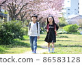 Elementary school boys and girls walking toward the bottom of the cherry blossoms 86583128