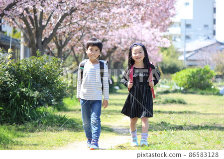 Elementary school boys and girls walking toward the bottom of the cherry blossoms 86583128