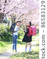 Two elementary school boys and girls with a smile on their faces in a row of cherry blossom trees 86583129