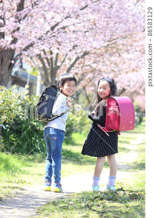 Two elementary school boys and girls with a smile on their faces in a row of cherry blossom trees 86583129