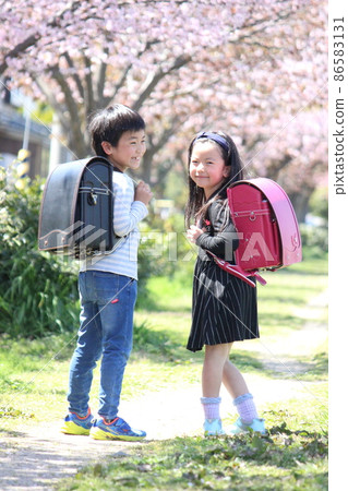 兩個小學生在一排櫻花樹中轉身 兩個小學生在一排櫻花樹中轉身 86583131