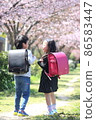 Two elementary school boys and girls talking in a row of cherry blossom trees 86583447