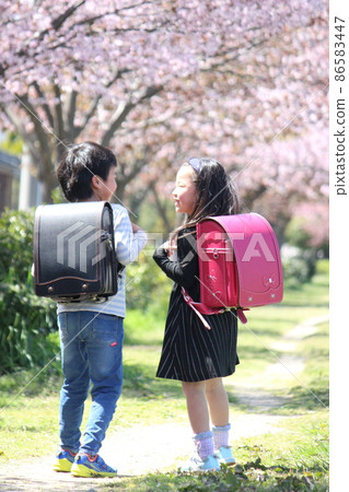 Two elementary school boys and girls talking in a row of cherry blossom trees 86583447