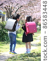 Two elementary school boys and girls carrying school bags on the back of a row of cherry blossom trees 86583448