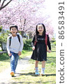 Two elementary school boys and girls smiling at the camera looking at the cherry blossom trees 86583491