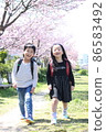 Two elementary school boys and girls smiling at the camera looking at the cherry blossom trees 86583492