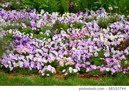 Spring Satoyama Garden Festa 86583744