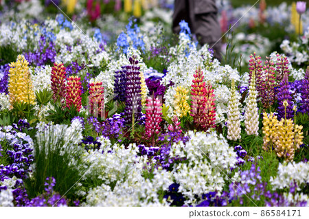 Spring Satoyama Garden Festa 86584171