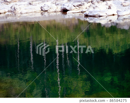 Skeleton forest reflected on the surface of the clear stream Naga River Skeleton forest reflected on the surface of the clear stream Naga River 86584275