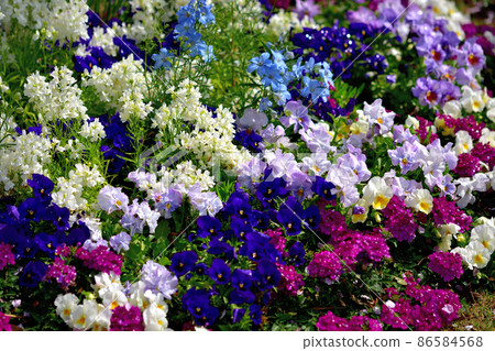 Spring Satoyama Garden Festa Spring Satoyama Garden Festa 86584568