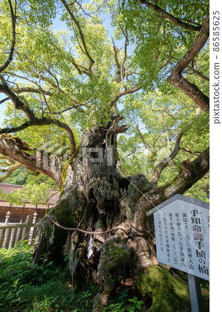 Oshimajima Shrine Shrine 86585625