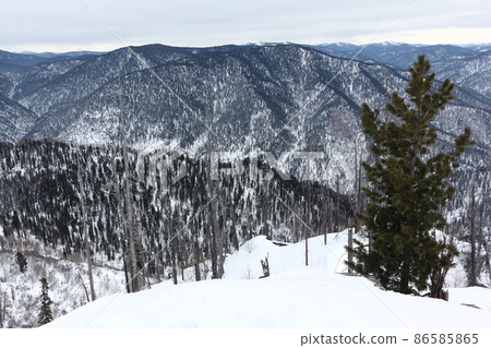 Teletsky ski resort, view from Mount Kokuya, Altai 86585865