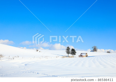 [北海道美瑛町]冬天紅頂藍天的小山丘 86586411
