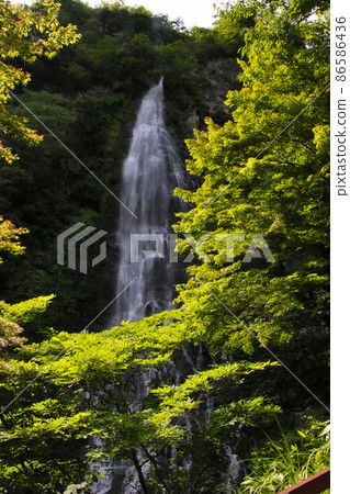 Tendaki, a famous waterfall selected as one of the 100 best waterfalls in Japan in Oya-cho, Yabu City, Hyogo Prefecture. Tendaki, a famous waterfall selected as one of the 100 best waterfalls in Japan in Oya-cho, Yabu City, Hyogo Prefecture. 86586436