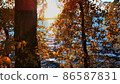 Colors of golden autumn painted the leaves of the trees with lake on background. Media. Beautiful sunset. 86587831
