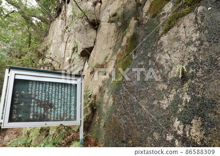 茨城縣Minederasansaikoin附近的球形花崗岩 茨城縣Minederasansaikoin附近的球形花崗岩 86588309