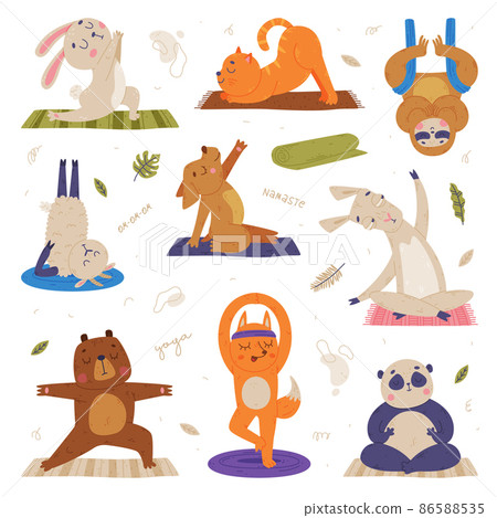 Funny Animals on Yoga Mat Practicing Asana and Stretching Vector Set Funny Animals on Yoga Mat Practicing Asana and Stretching Vector Set 86588535