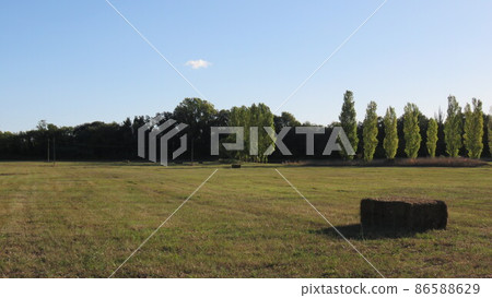 Natural Landscape 86588629