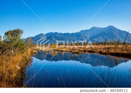 Kendlmuehlfilz near Grassau, an upland moor in Southern Bavaria, Germany Kendlmuehlfilz near Grassau, an upland moor in Southern Bavaria, Germany 86589511