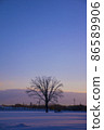 Snowfields and trees in the morning glow 86589906